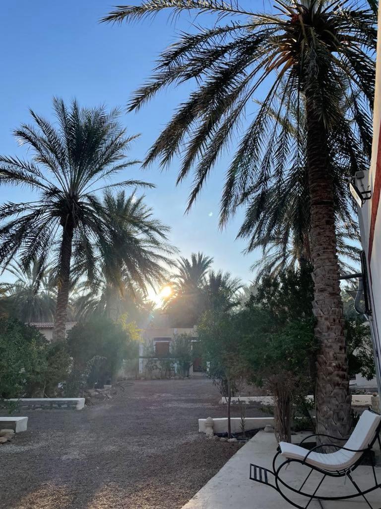 Dar Barka Hotel Kebili Exterior photo