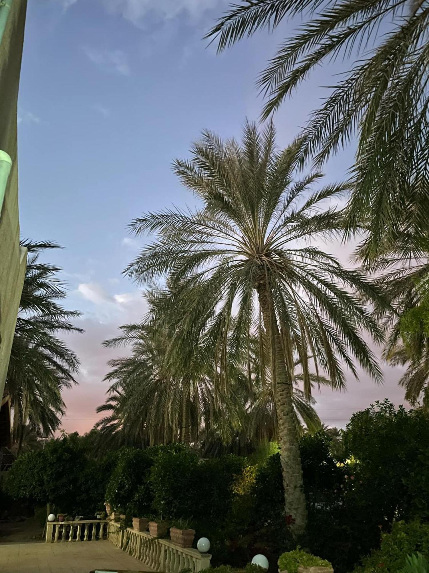 Dar Barka Hotel Kebili Exterior photo