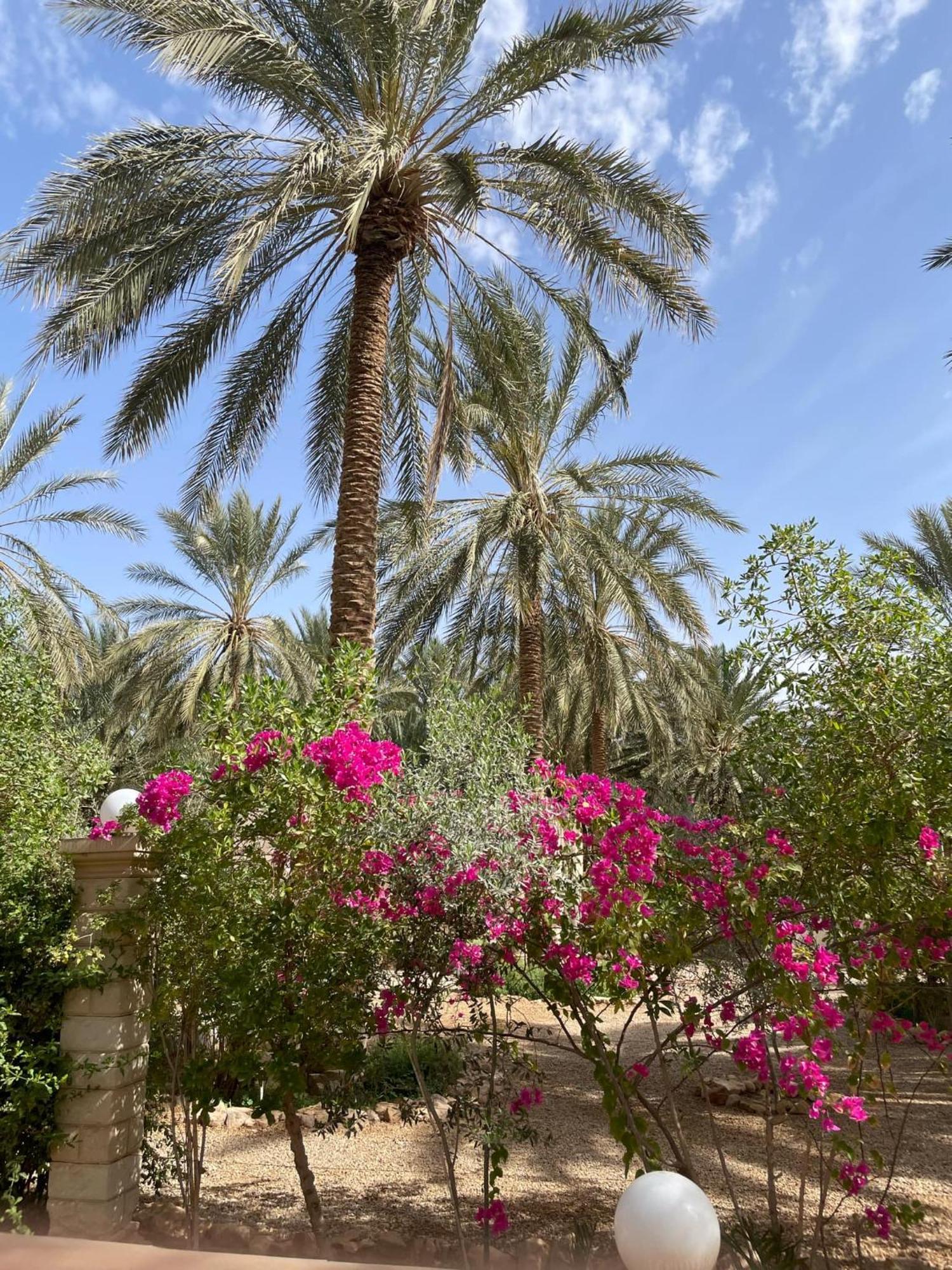 Dar Barka Hotel Kebili Exterior photo