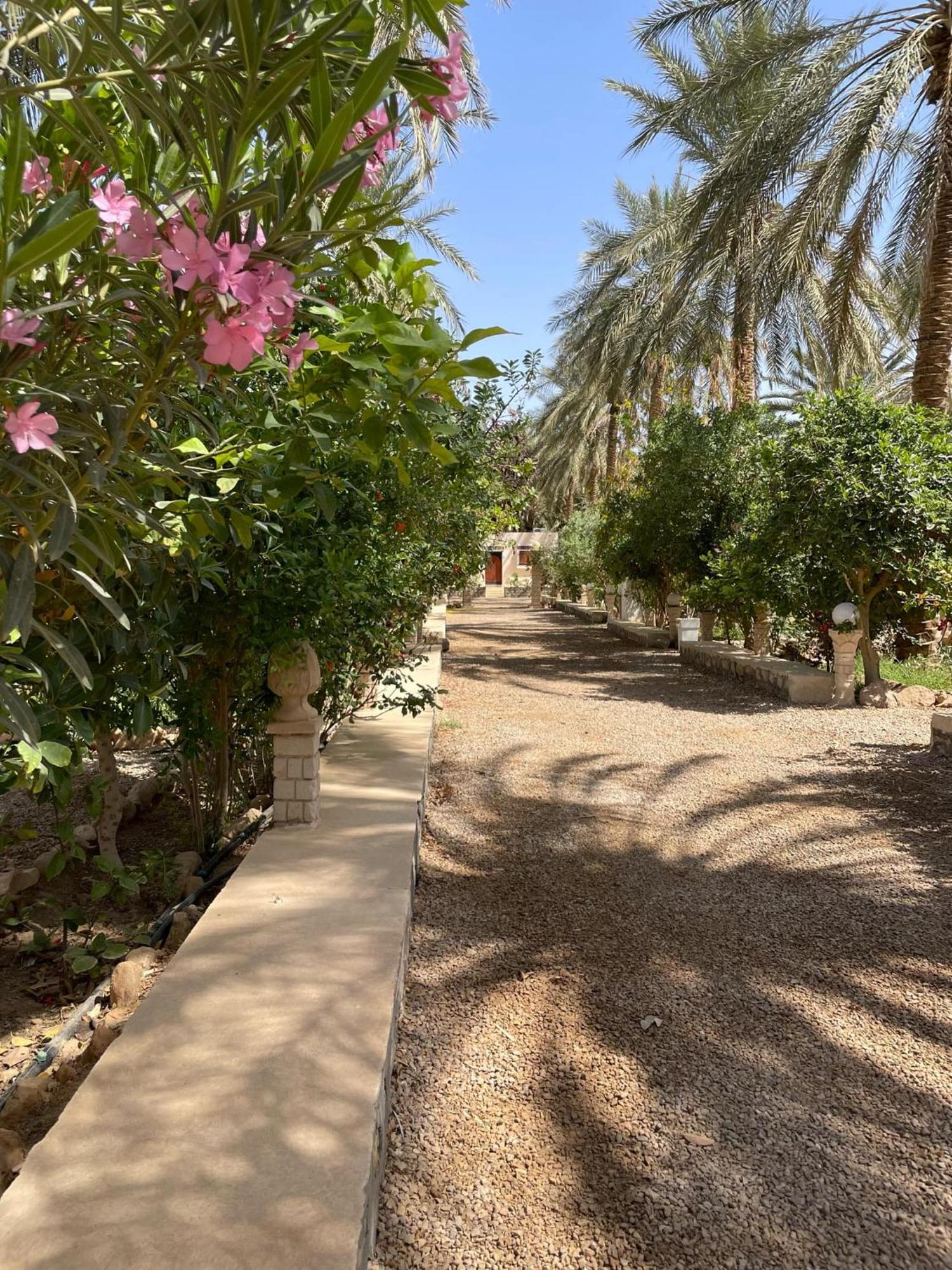 Dar Barka Hotel Kebili Exterior photo